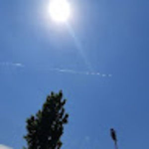 Meet your Posher, Tran